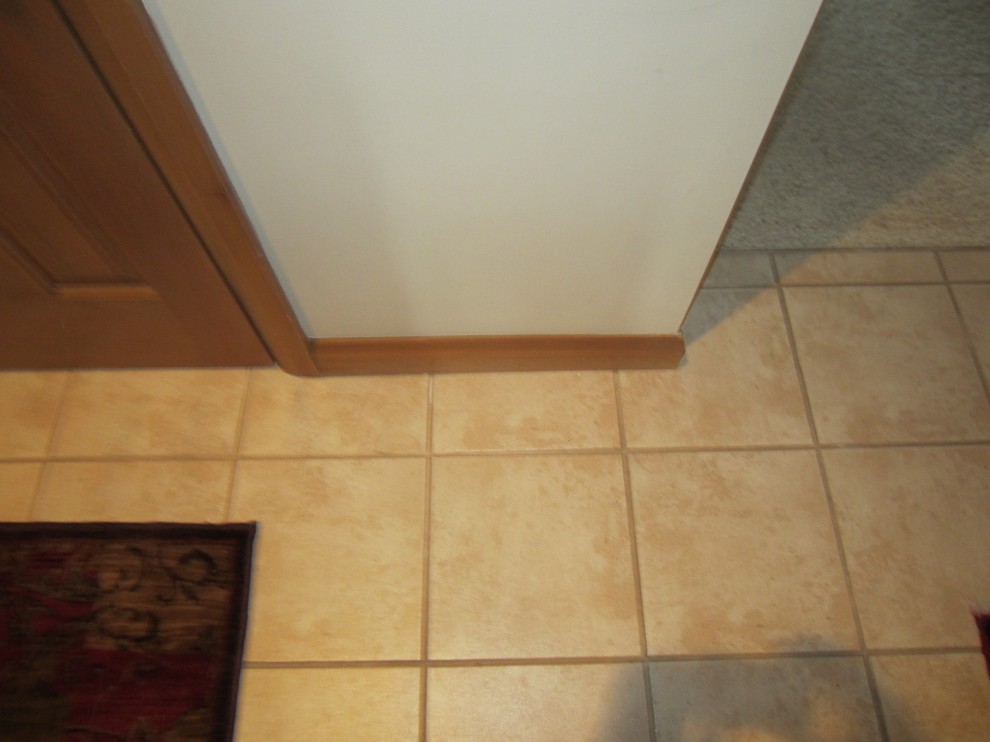 Light wood doors, trim and baseboards with darker hardwood