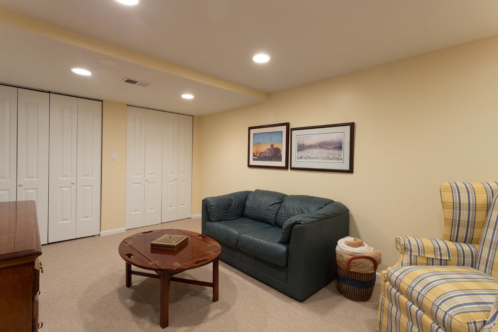 This is an example of a mid-sized transitional fully buried basement in Chicago with yellow walls, carpet and no fireplace.