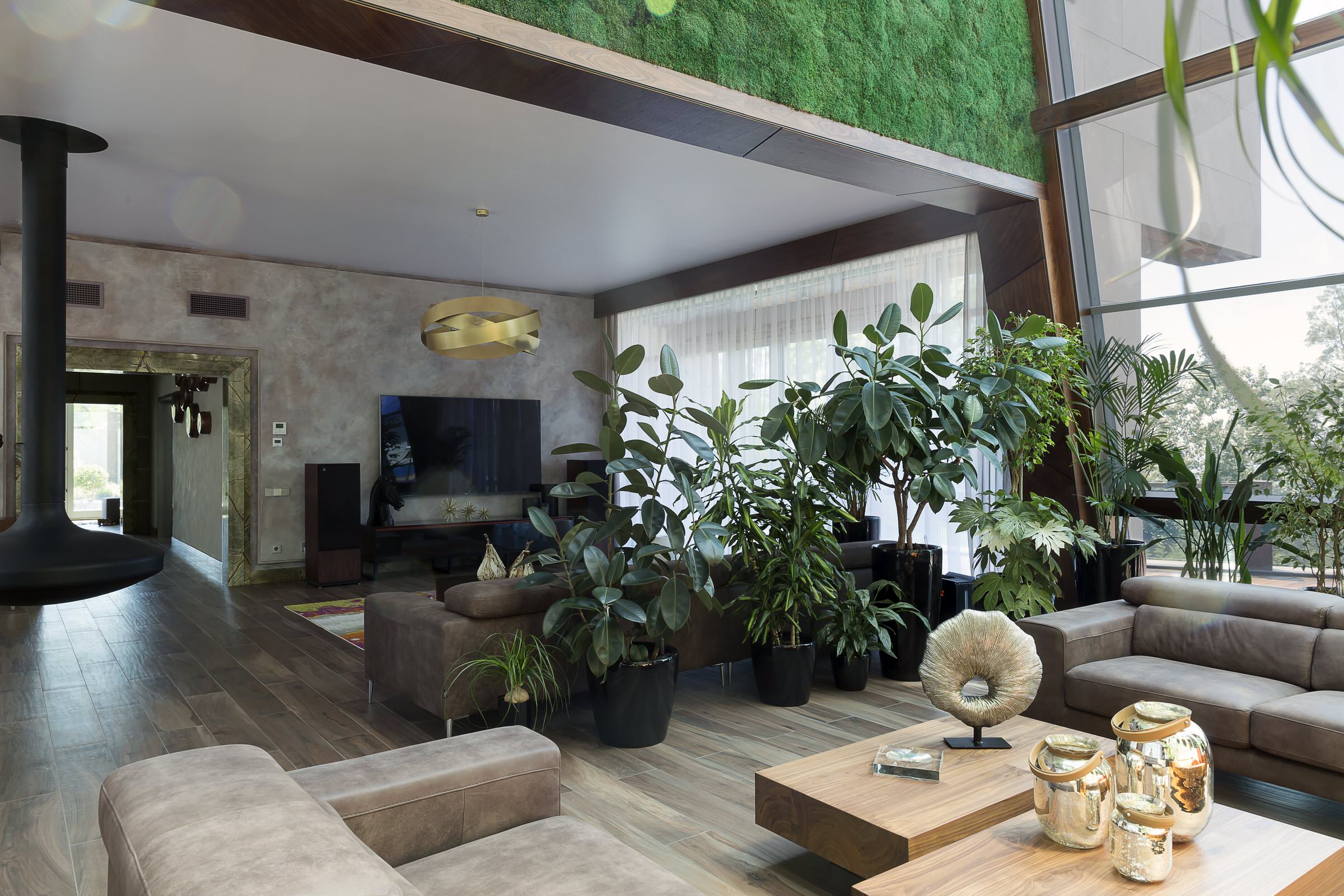 Проект "Навстречу природе"