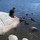 webuser_8669708