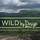 Wild by Design, LLC