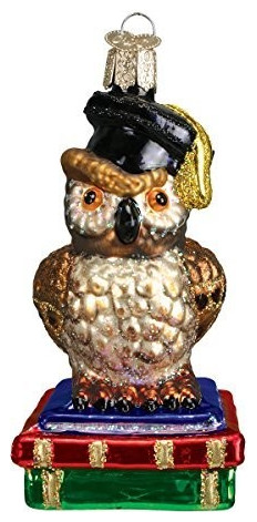 Old World Christmas Graduation Owl Glass Blown Ornament - Traditional ...
