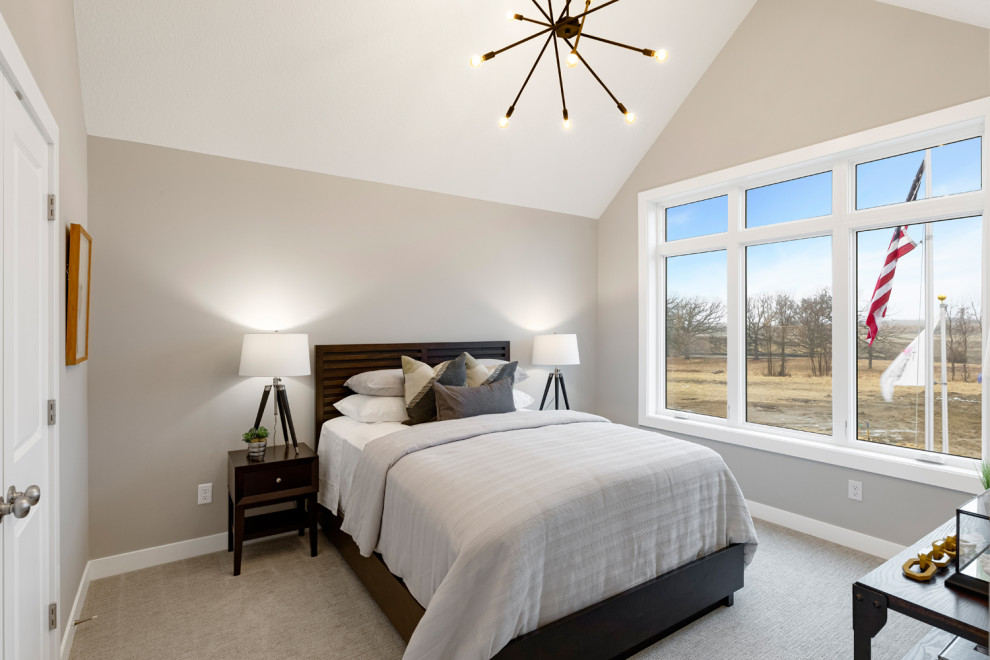 Стильный дизайн: гостевая спальня (комната для гостей) в стиле неоклассика (современная классика) с серыми стенами, ковровым покрытием и сводчатым потолком - последний тренд