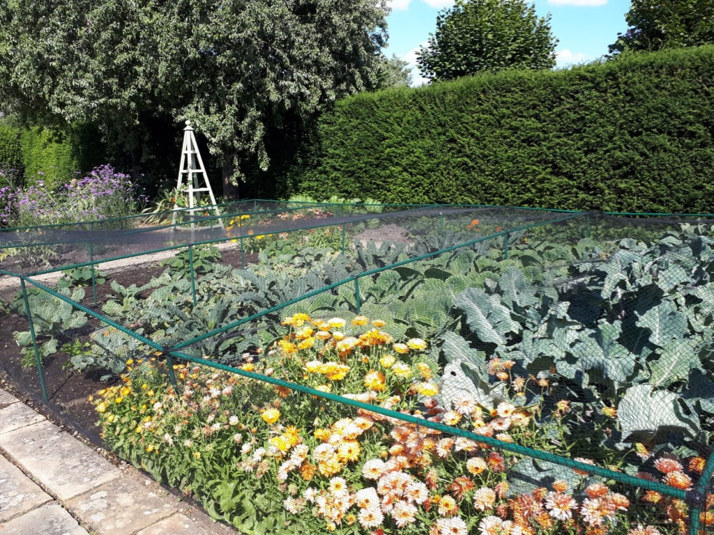 Vegetable Garden Maintenance Project