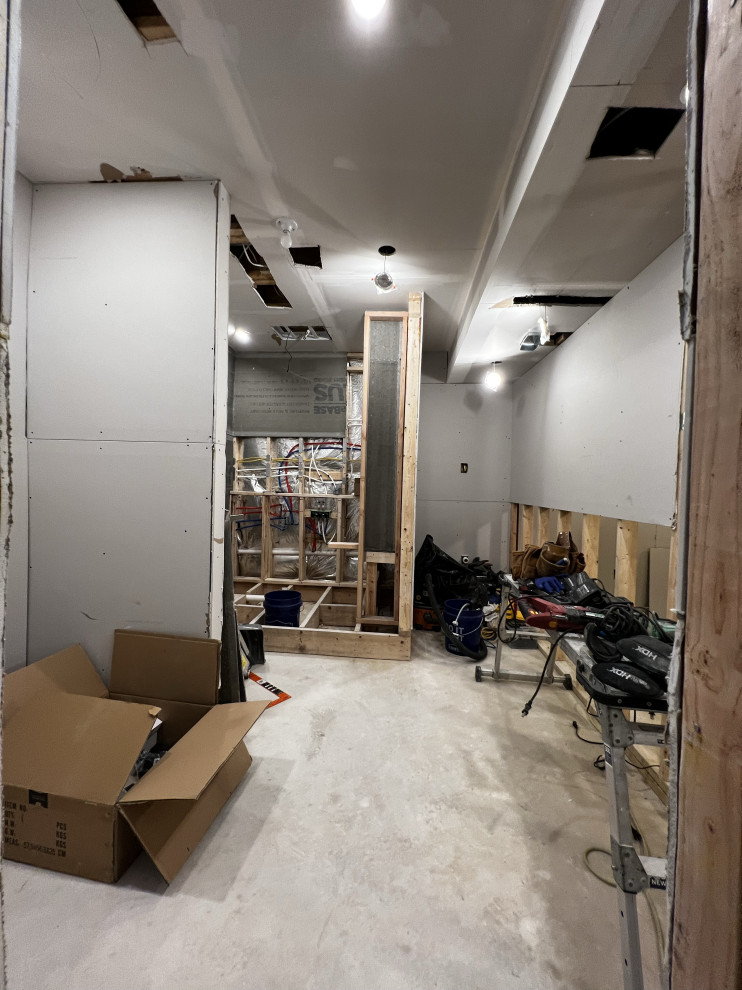 Basement Remodel