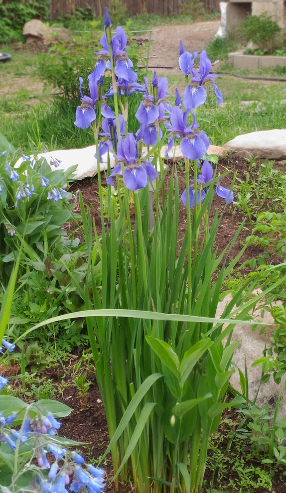 Серия "Любимый дом" Вид из окна