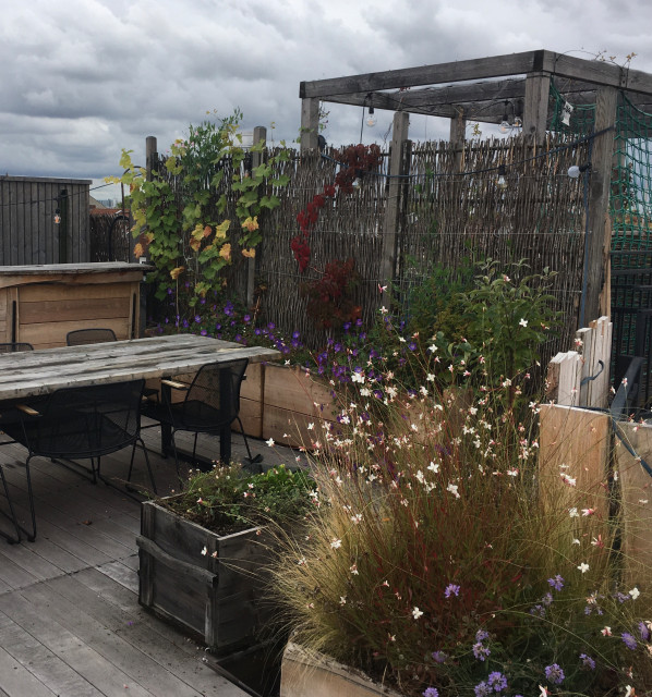 Bapflanzung Holzgef&auml;&szlig;e auf Dachterrasse deck