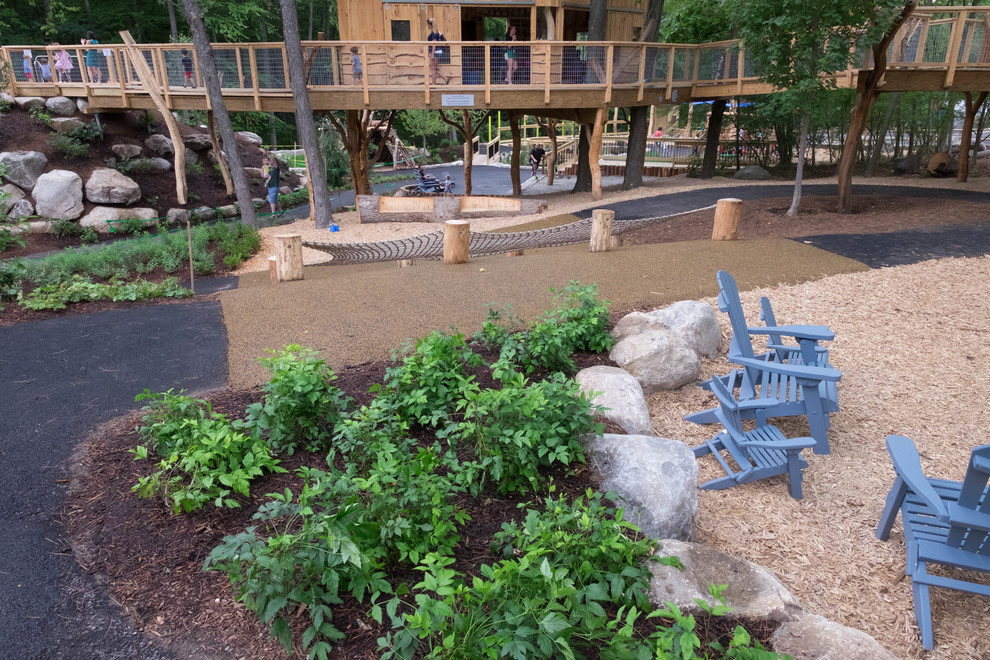 Discovery Woods
