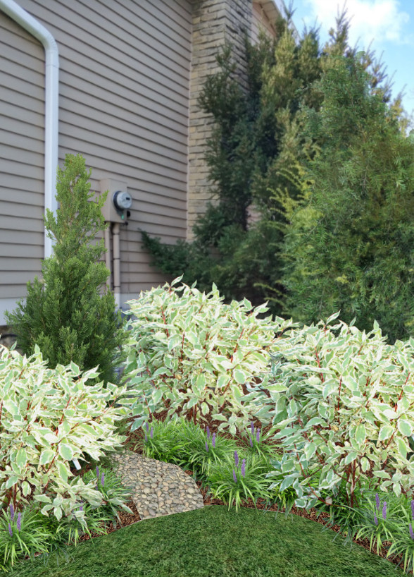 Foundation Plantings