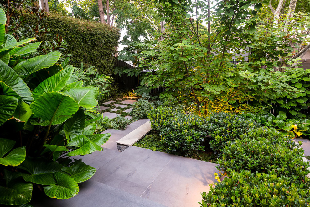 Mid-sized contemporary front yard garden in Melbourne with a garden path.