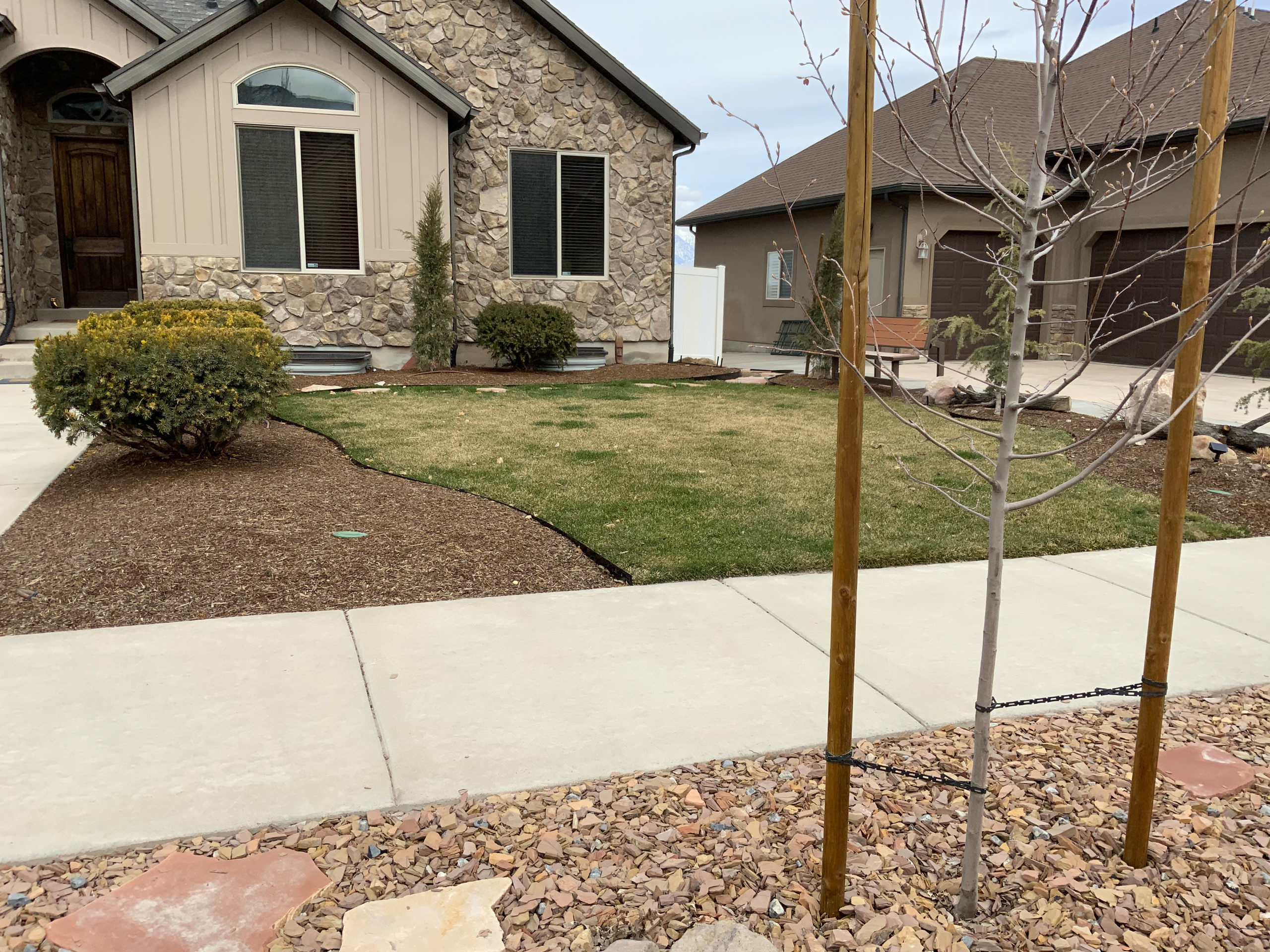 Neighborhood Friendly Front Yard