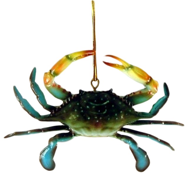 Dimensional Coastal Maryland Blue Crab Christmas Ornament 4 Inches