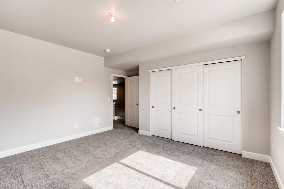 Large underground carpeted and gray floor basement photo in Denver with gray walls and no fireplace