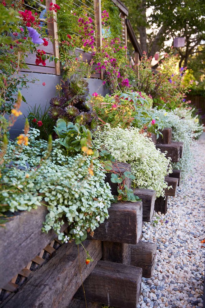 This is an example of a large contemporary sloped shaded garden for fall in San Francisco with a retaining wall and gravel.