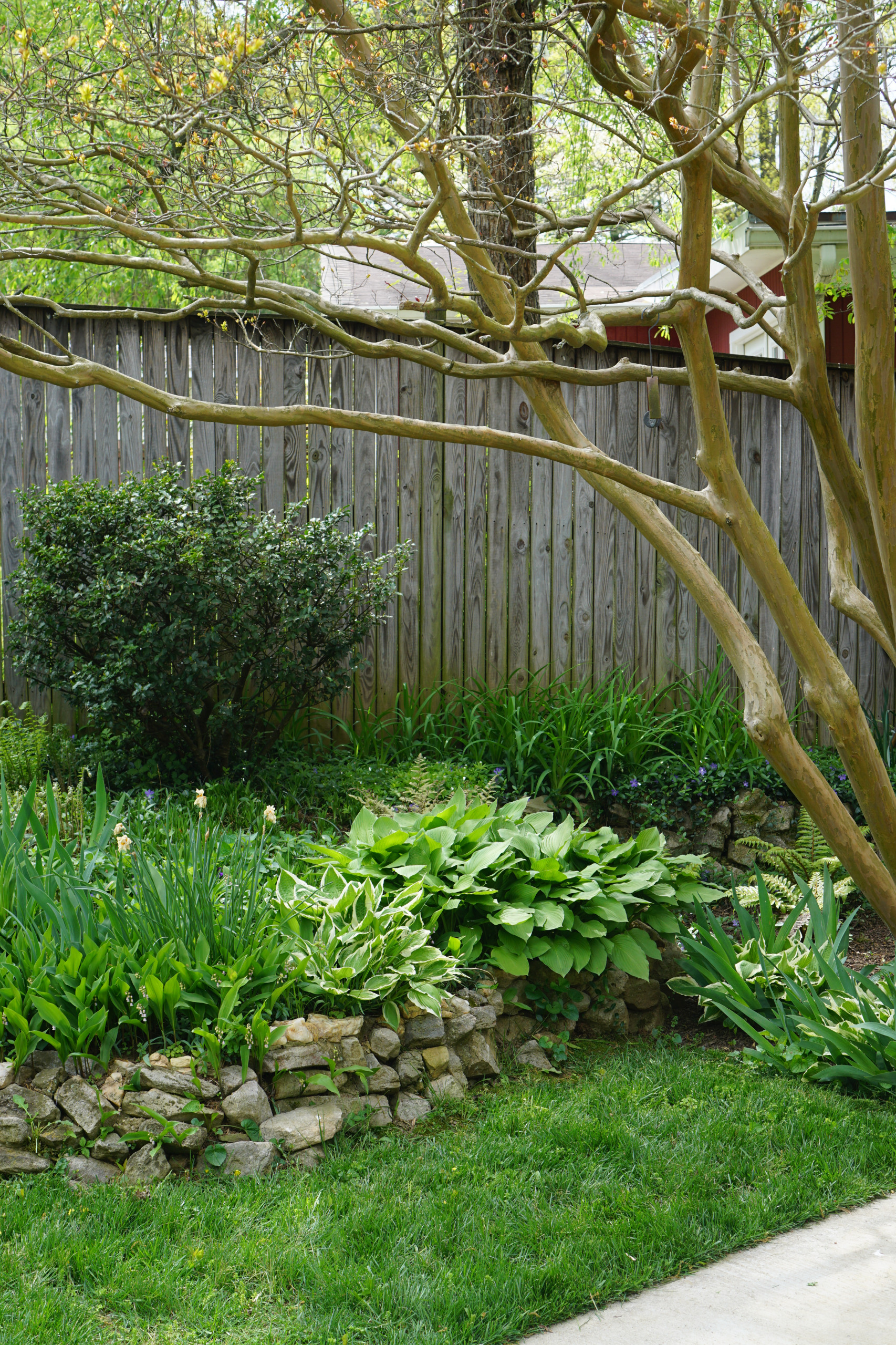 Mid-Century Modern Home Rear Garden