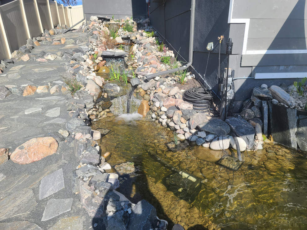 Custom✨ Koi Pond