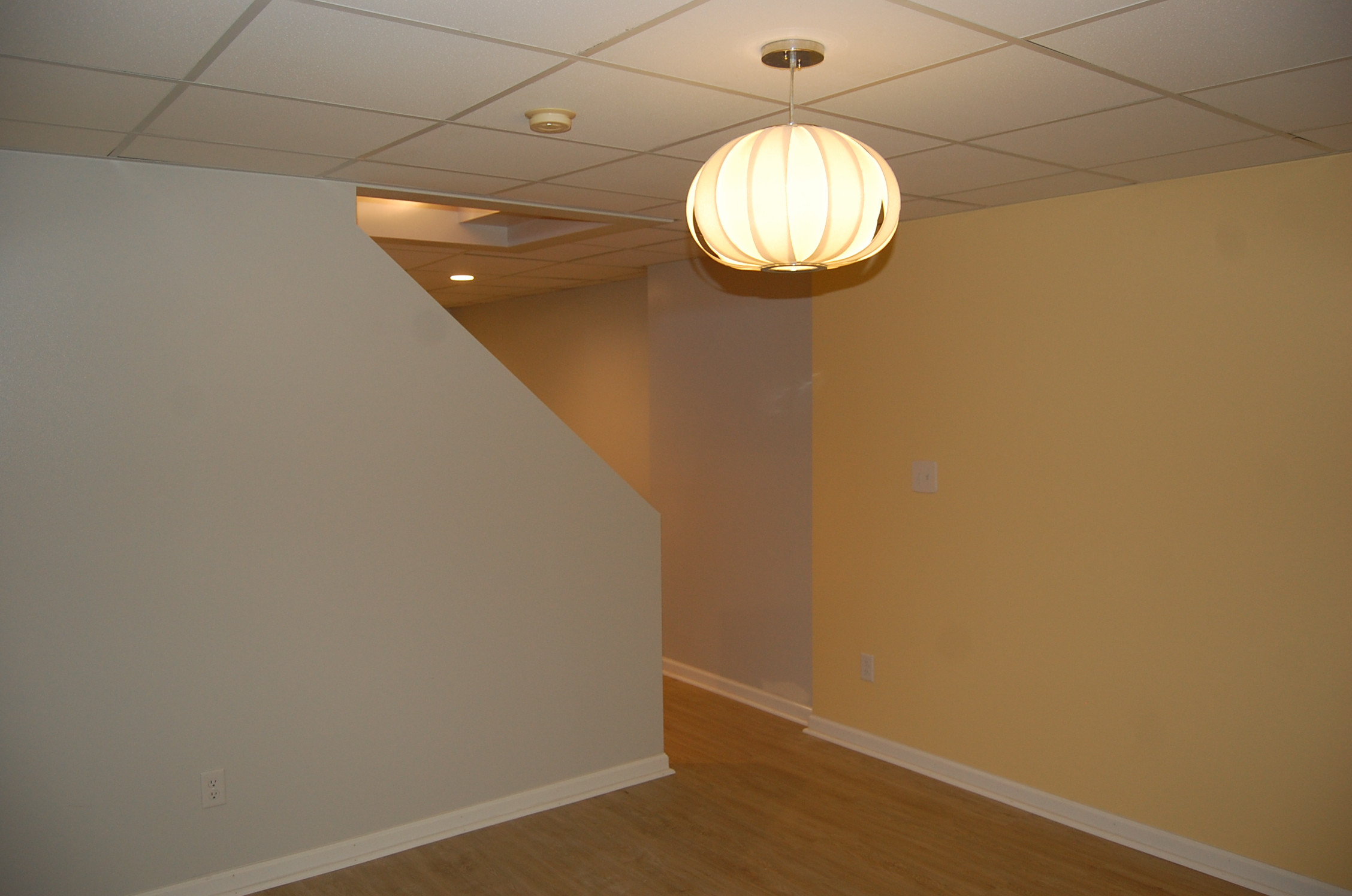 Basement office and work out area