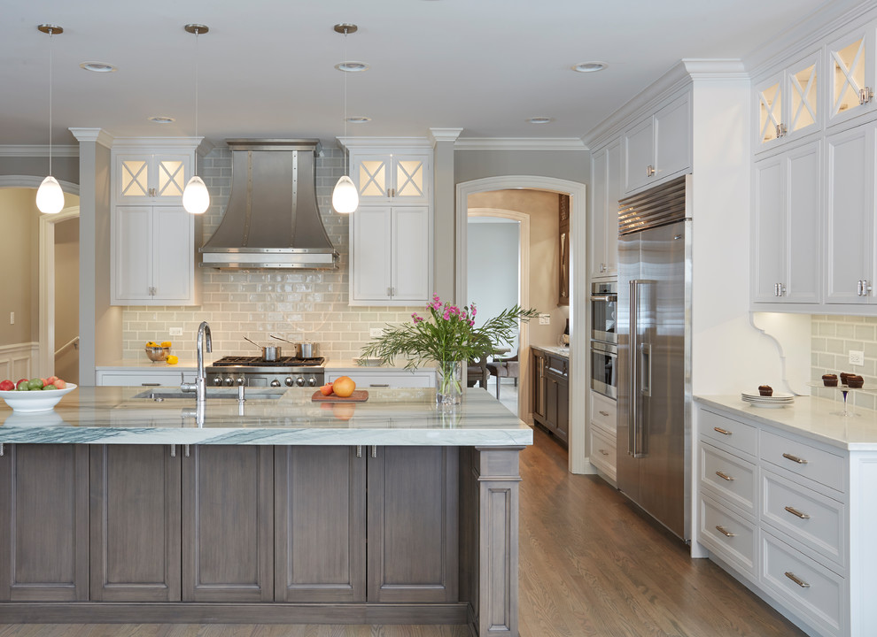 Transcendence - Transitional - Kitchen - Chicago - by DDK Kitchen ...