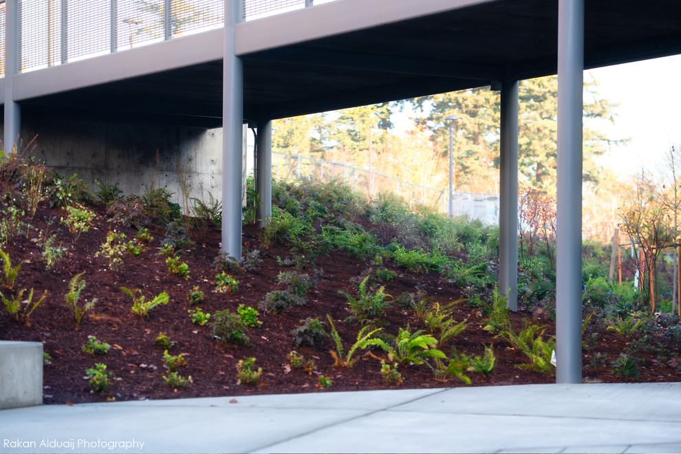 COMMERCIAL LANDSCAPE SERVICES