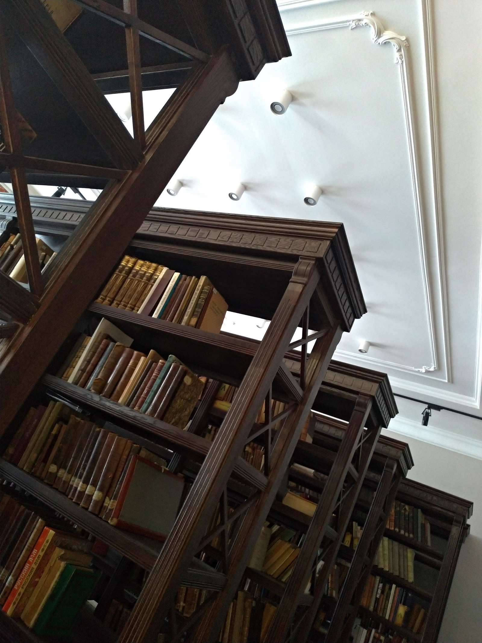 Библиотека. Коллекция редких книг. Дом известного ученого.