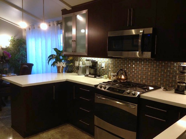 Carson Kitchen Remodeling Project contemporary-kitchen