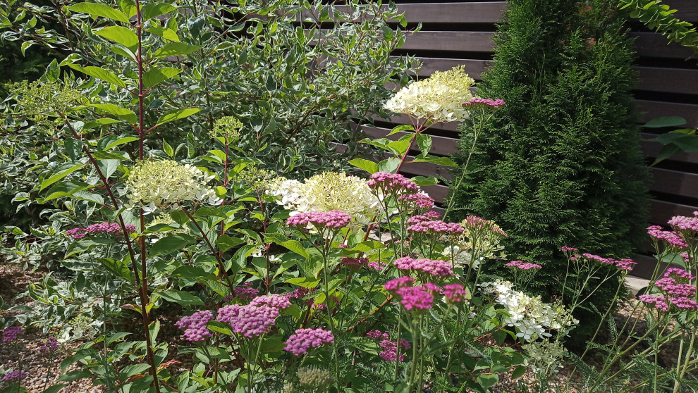 Сад в Рожновке