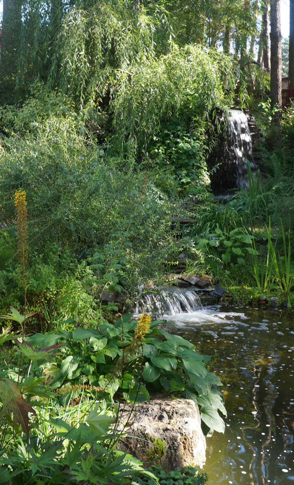Лесной пейзаж