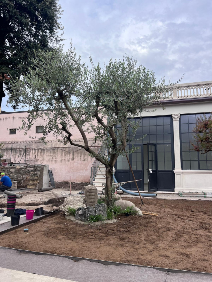 Riqualificazione giardino interno ad un istituto ecclesiastico