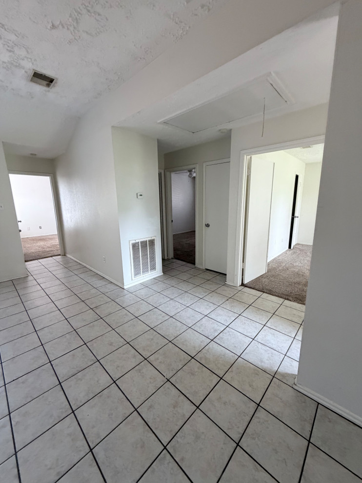 The Bright Modern Remodel