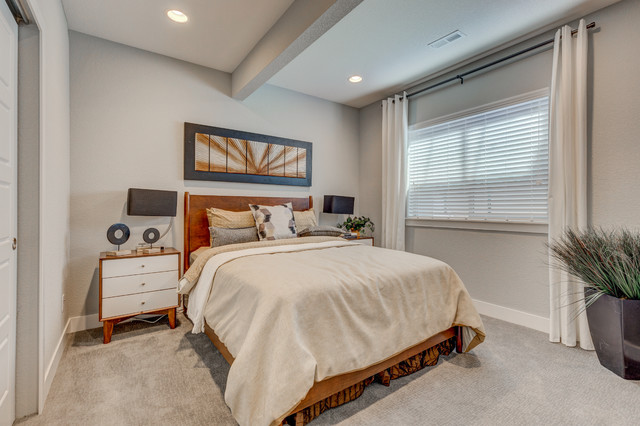 Prominence at Stapleton contemporaneo