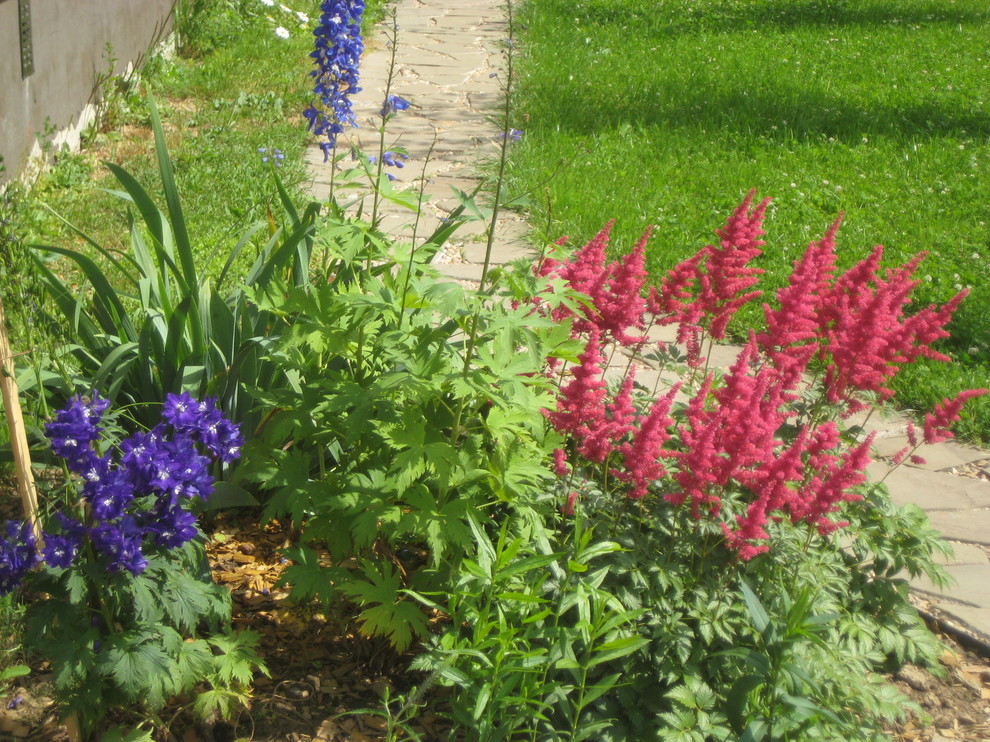 озеленение