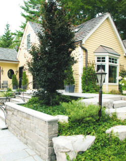 Photo 5 listed on Houzz