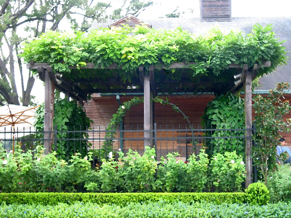 Klassischer Garten in Houston