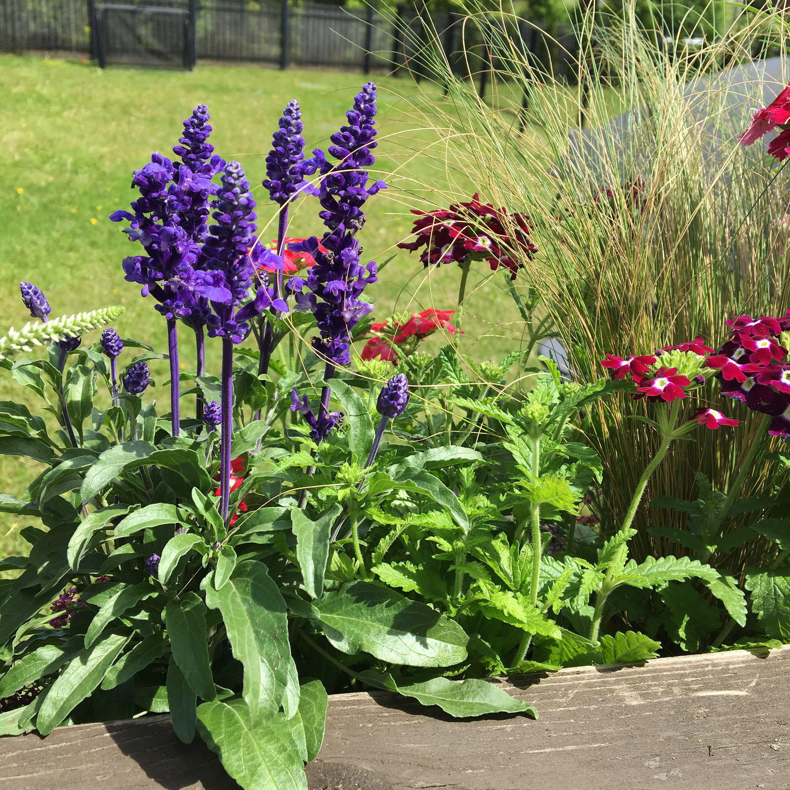 Терраса в Новых Вешках