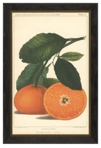 Fine Art Giclee New Print Satsuma Orange