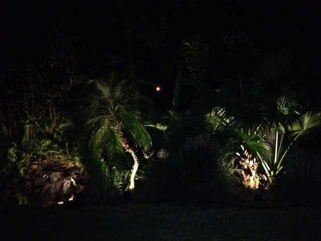 This is an example of a beach style garden in Tampa.