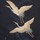 maria_lind