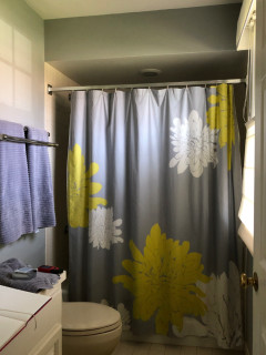 Bathroom of the Week: Whimsical With Butterflies and a Purple Tub (10 photos)