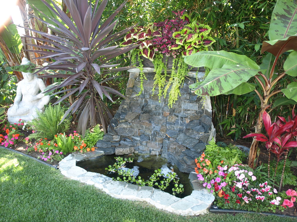 Photo of a tropical garden in San Diego.