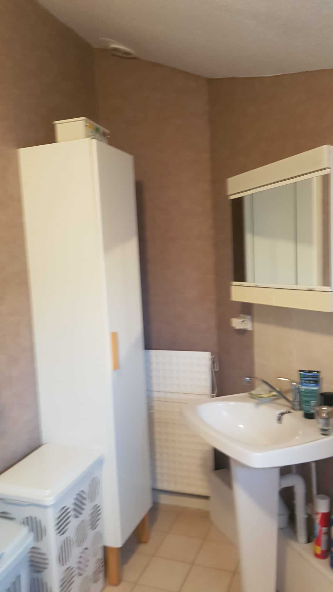 Montigny-le-Bretonneux - SALLE DE BAIN FAMILIALE: Rénovation complète - ambiance
