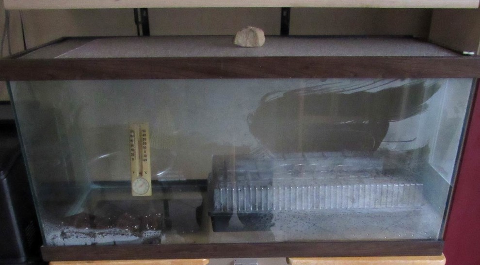 Terrarium for starting seeds