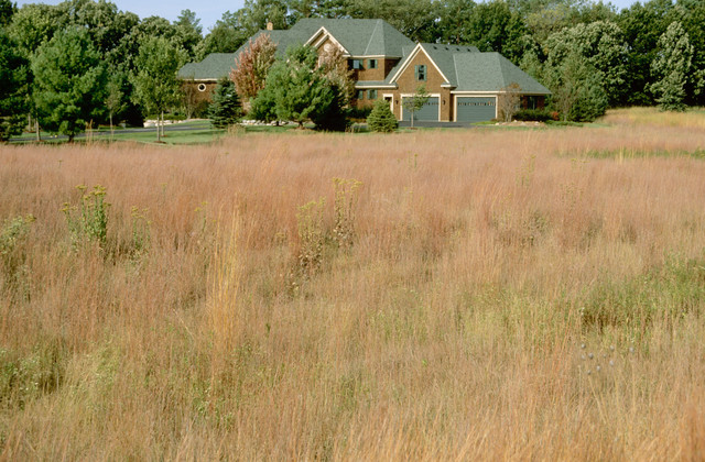Residential Projects rustic-garden