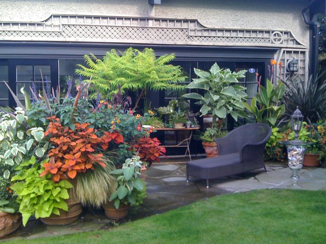 Tropical Containers Tropical Landscape Vancouver 