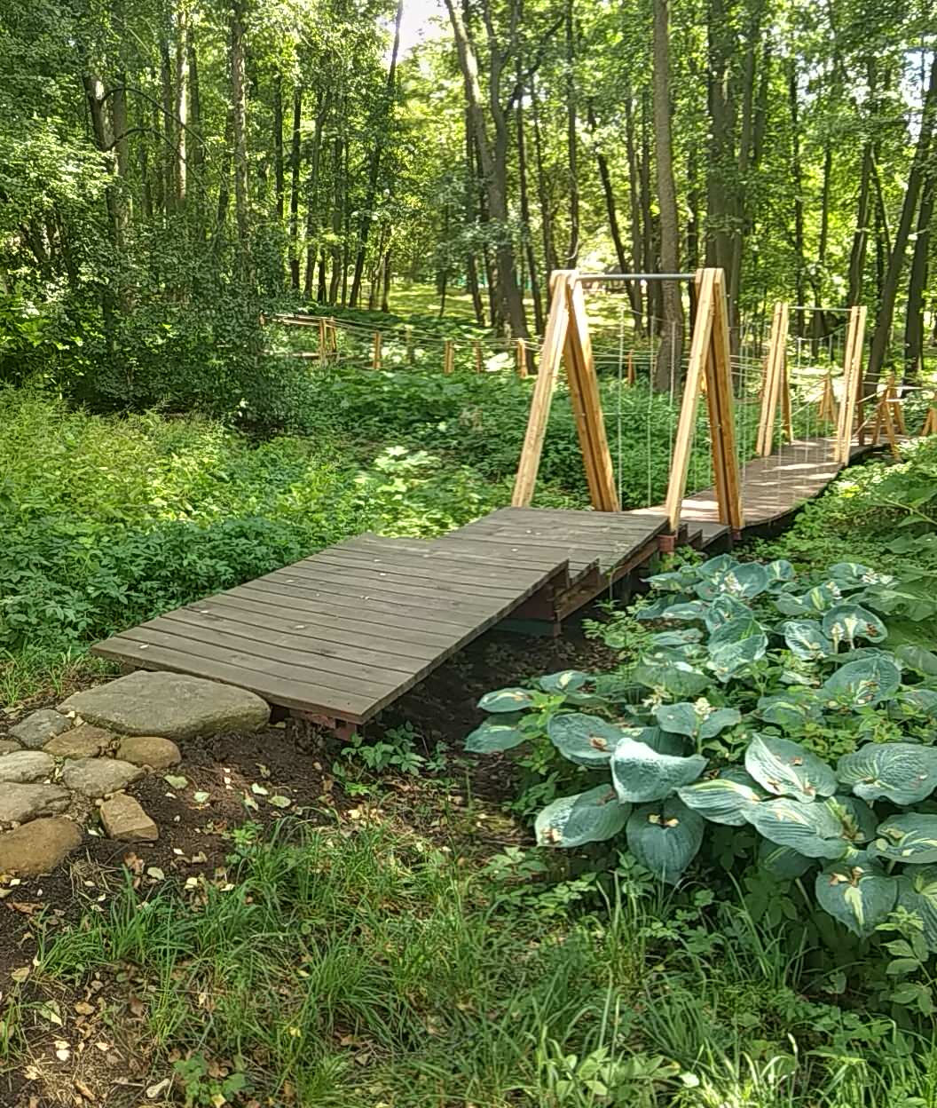 Valley of springs Долина родников