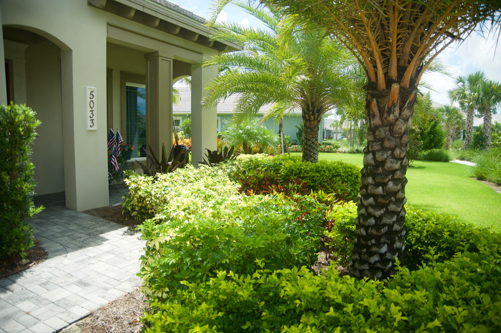 Tropical Full Yard Landscape in Naples FL Tropical Landscape