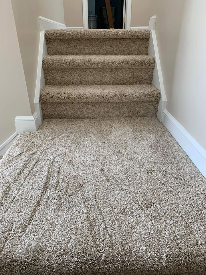 This is an example of a small traditional carpeted l-shaped staircase in Cleveland with carpet risers and mixed railing.