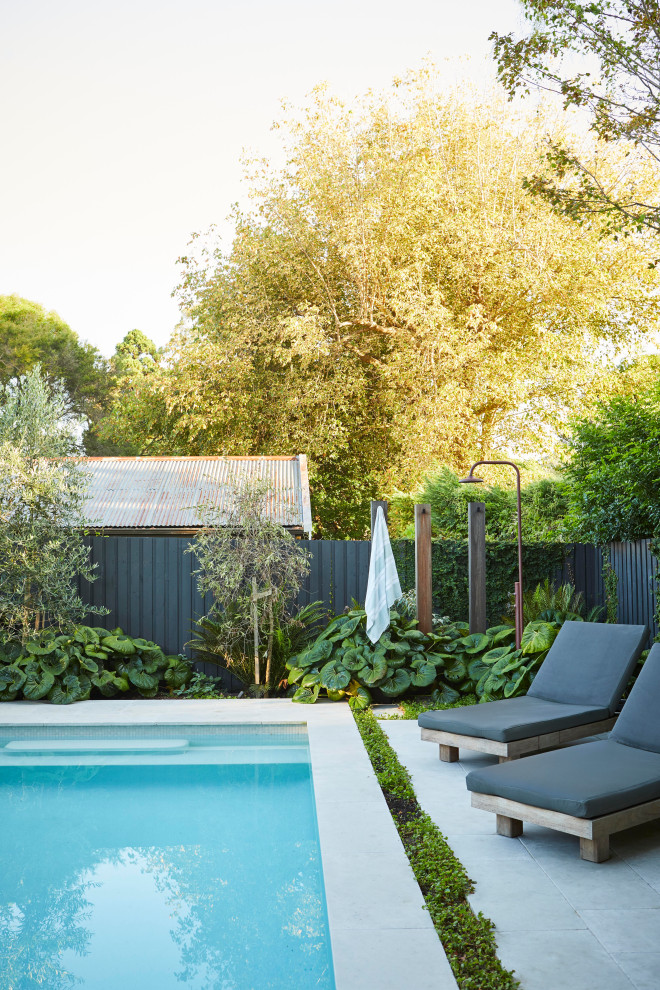 Mid-sized contemporary backyard rectangular pool in Sydney with with a pool and tile.