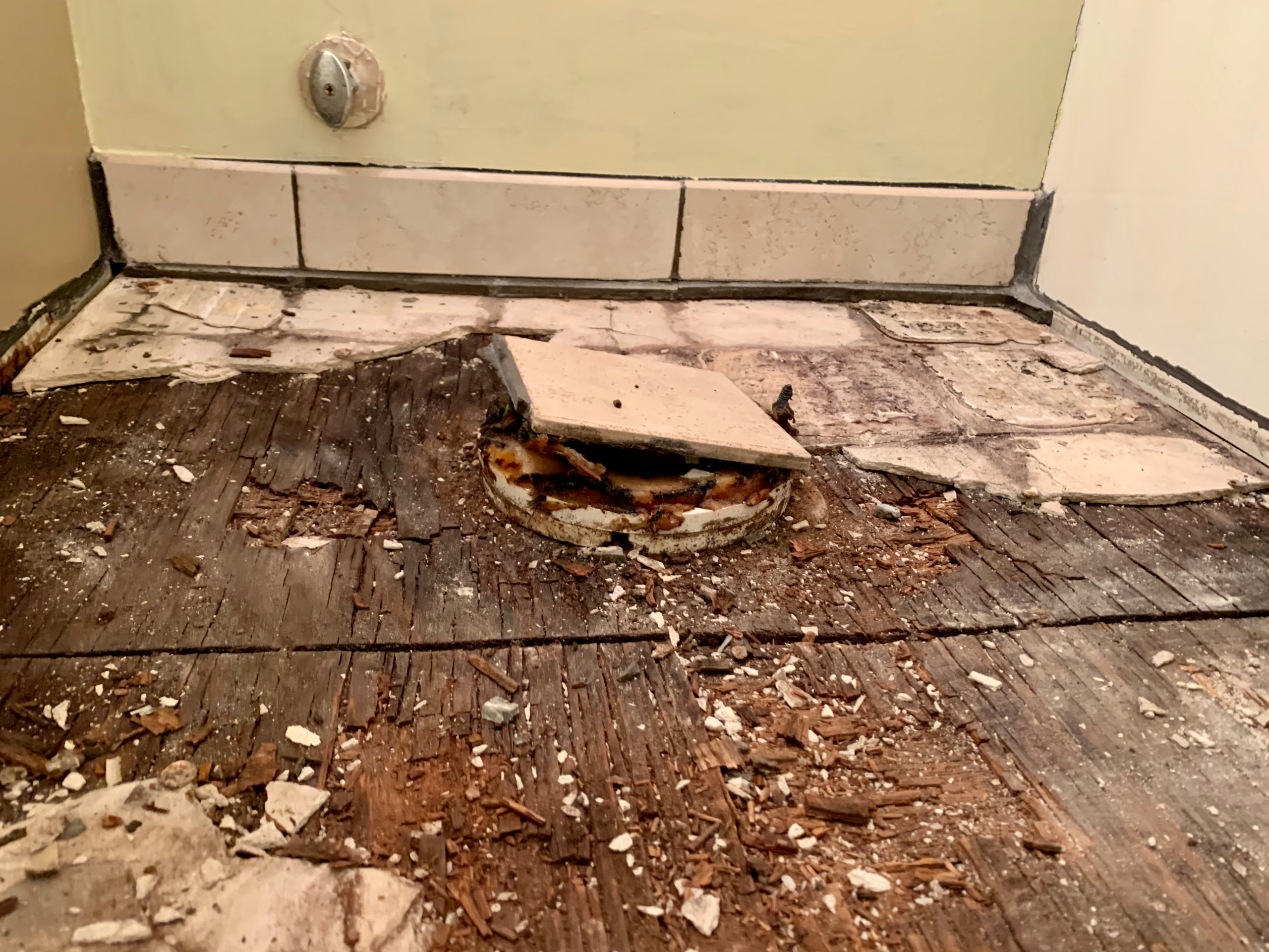 Subfloor damaged needing repalcement