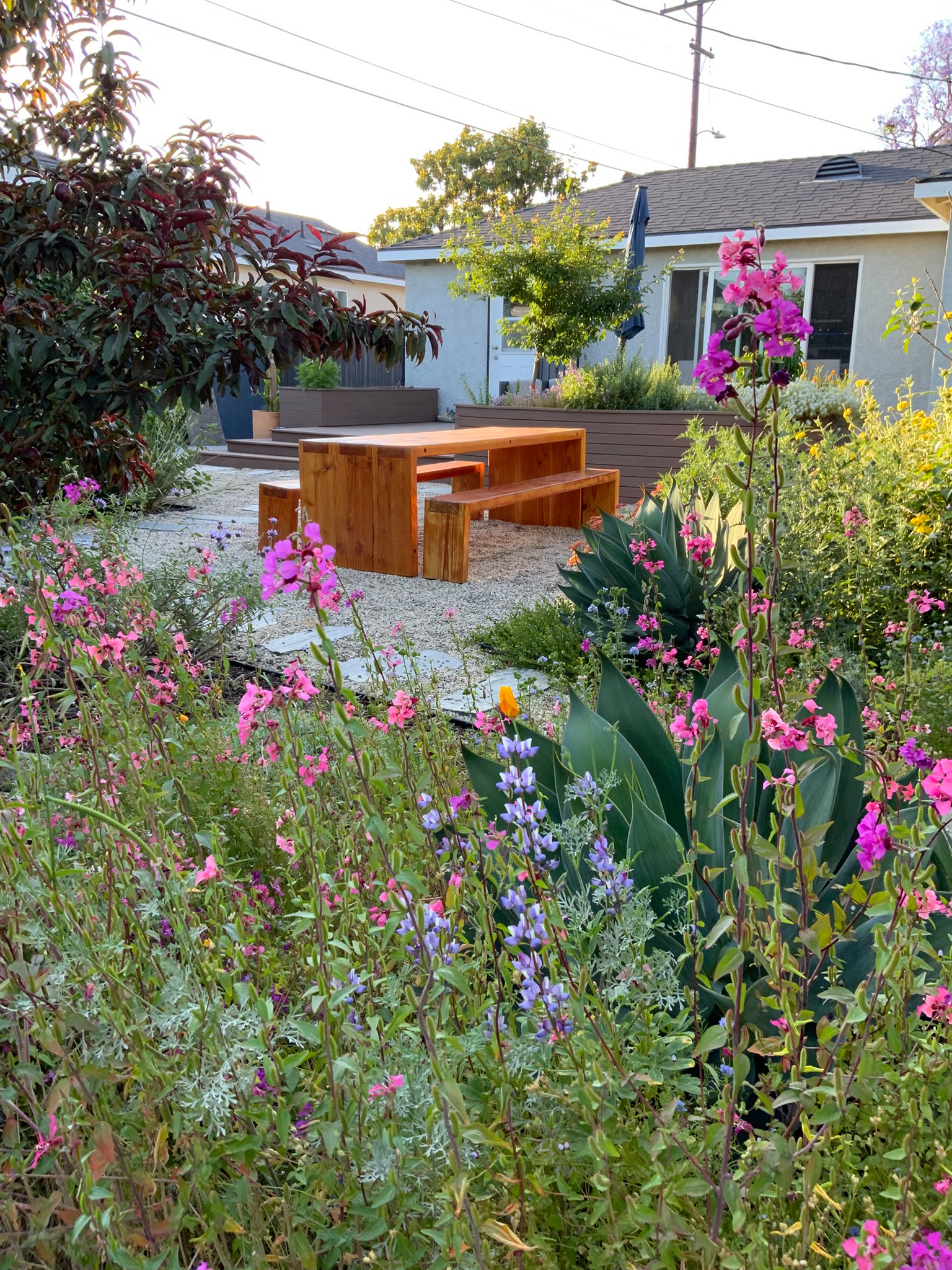 WILDFLOWERS IN OUTDOOR DINING SPACE
