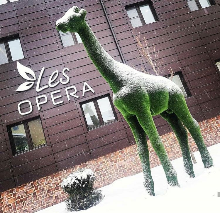 Топиари в пространстве